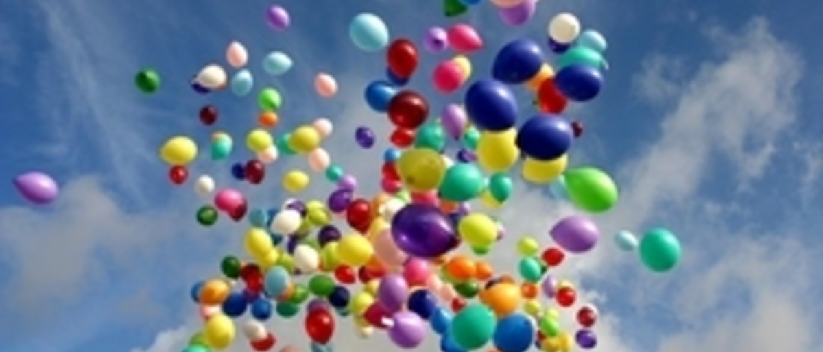 Paboweb bestaat 25 jaar