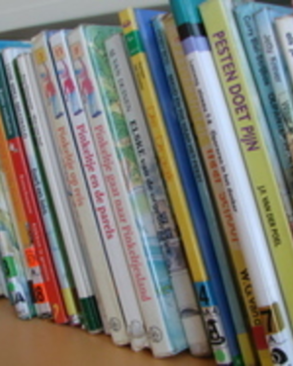 Pabo-lectoraten (taal/lezen en rekenen)